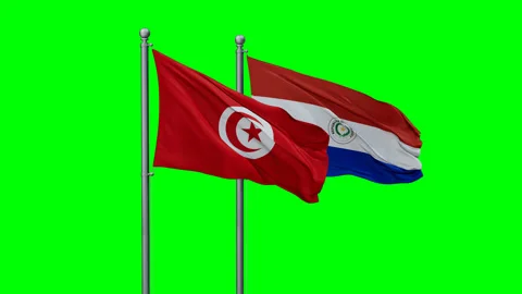 Paraguay and Tunisia two flags Video stock 292820357
