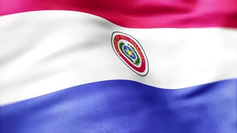 Paraguay Custom Flag Texture Background Stock Footage 320980948