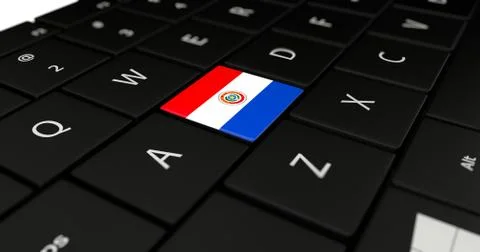 Paraguay flag button  Stock Illustration