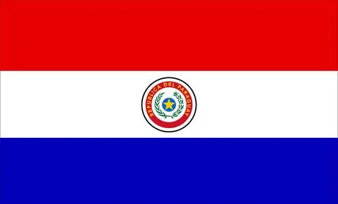Paraguay Flag Design Stock Illustration