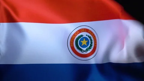 Paraguay Flag Flapping Stock Footage 118972801