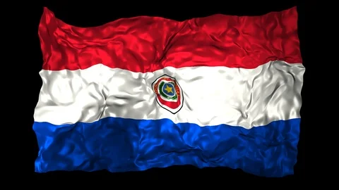 Paraguay flag Stock Footage 110826926