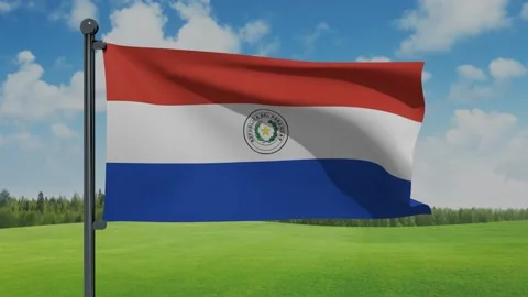 Paraguay Flag Stock Footage 153255479
