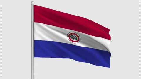 Paraguay Flag 動画素材 211474591