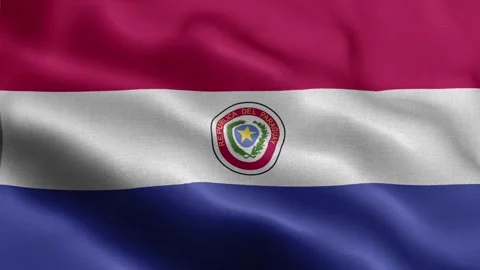 Paraguay flag Front Stock Footage 318667807