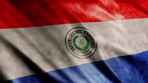 Paraguay Flag Grunge 库存影片 249037623