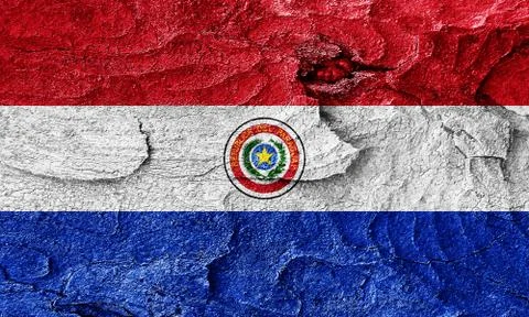 Paraguay flag イラスト素材