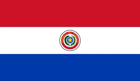 Paraguay Flag Illustrazione stock