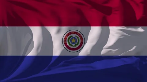 Paraguay Flag Loop Stock Footage 295734514
