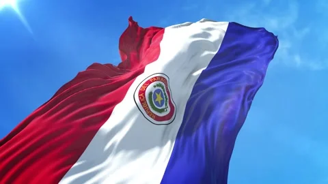 Paraguay Flag Low Angle View Stock Footage 295694947