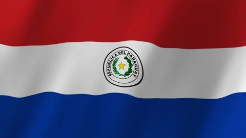 Paraguay flag waving animation Vídeos de archivo 221989409