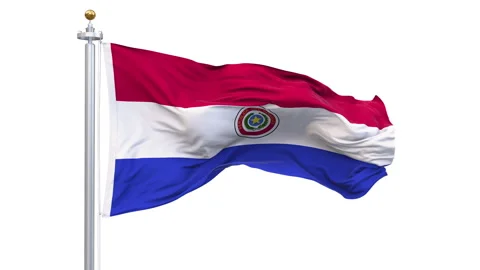Paraguay flag waving looping with transparent background. 動画素材 338422971