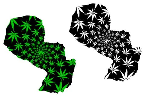Paraguay - map is designed cannabis leaf Stock Illustration