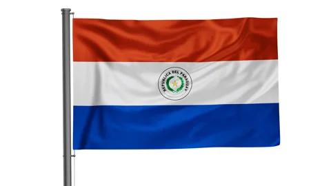Paraguay national flag Stock-Footage 218445192