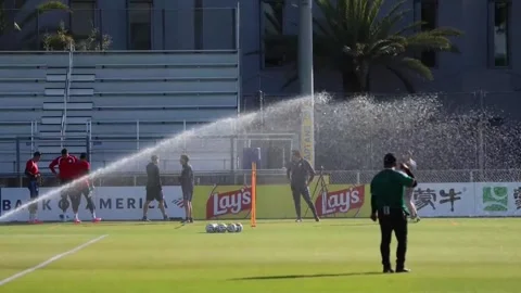 Paraguay prepares for key World Cup Group D match against Turkey, CALIFORNIA, US Video stock 337605332