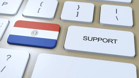 Paraguay Support Concept. Button Push 3D Illustration. Support of Country or  Illustrazione stock