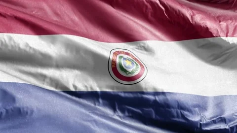 Paraguay textile flag waving on the wind loop. Paraguayan banner swaying on t Stock Footage 169689732