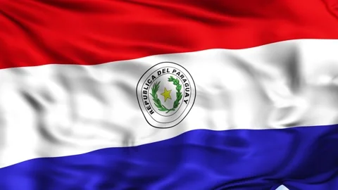 Paraguay Waving Flag Background Vidéo 204134585