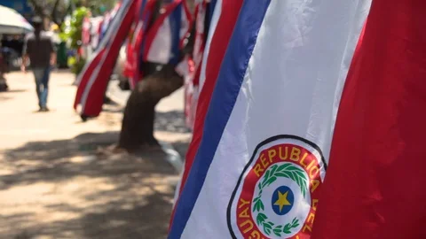 Paraguayan flags Stock Footage 95856808