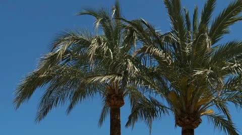Paraiso del Mar,  Vidéo 23118697
