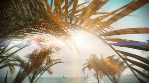 Paraiso Stock Footage 166539828