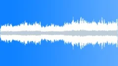 Parakeet Auklet MCU CallsSound Effect
