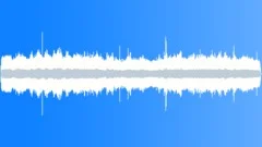Parakeet Auklet MCU CallsSound Effect