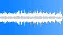 Parakeet Auklet MCU CUSound Effect