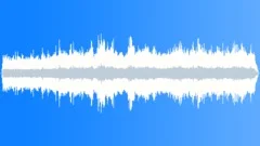 Parakeet Auklet MCUCU CallsSound Effect