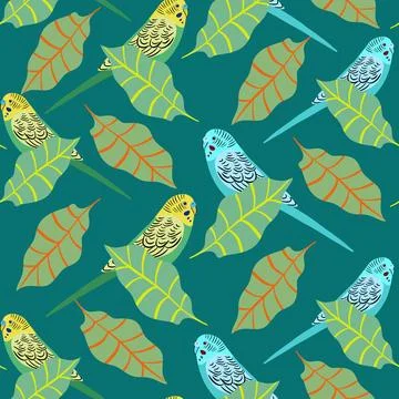 Parakeet bird illustration pattern design Stock Illustration