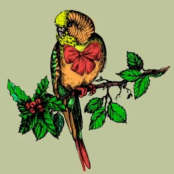 Parakeet with bow and mistletoe sitting on brunch Иллюстрация