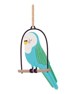 Parakeet over swing 스톡 일러스트