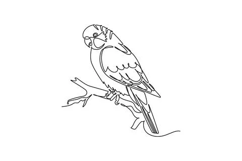 Parakeet parrot perched peacefully on a tree branch. Plumage details Stock Illustration