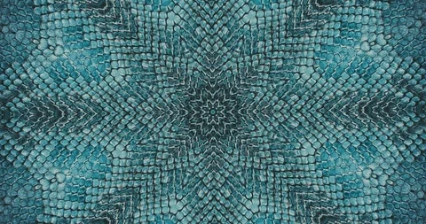 Parallax effect. Radial blue snake skin background. Snake skin texture closeup.  Stock Footage 119311565
