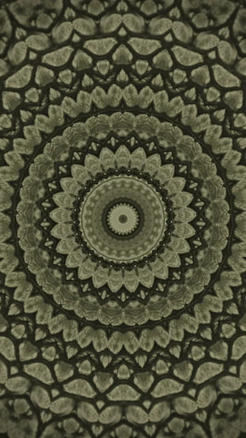 Parallax effect. Radial snake skin background. Snake skin texture closeup. Ve Stock Footage 228317078