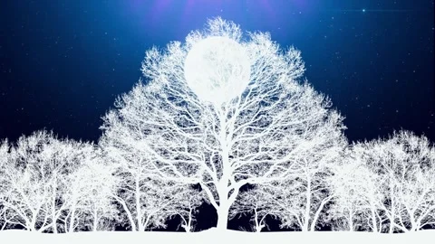 Parallax Forest in winter under full moon Stock-Footage 309841276