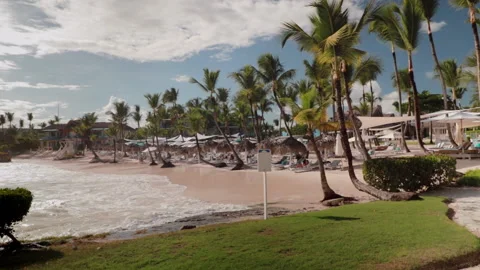 Parallax move of a beach landscape with waves and coconut trees in the Stock Footage 234992228