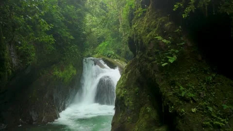 Parallax Reveal of Waterfall Cascading Through Mossy Rock Gorge in Mindo Stock Footage 331010804