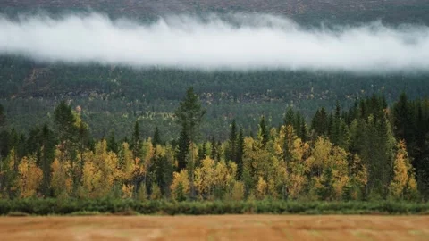 A parallax shot capturing light low clouds hanging above a mixed autumn Stock Footage 277078272