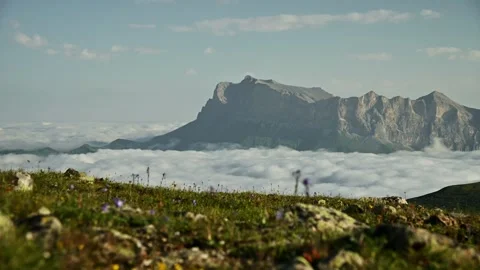 Parallax in sliding. Mountain landscape with clouds and wildflowers in Stock-Footage 341475020
