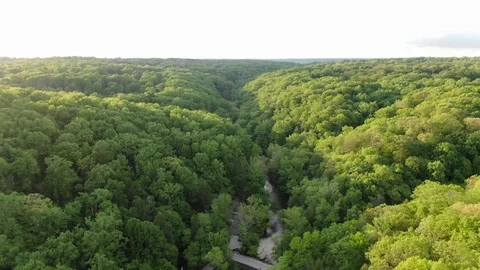 Parallax while over forest during sunset with river below Stock Footage 111345262