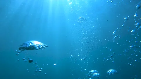 Parallel ascending with air bubbles in blue ocean water Stock Footage 138223627