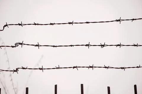 Parallel Barbed Wire Lines In Minimal Composition Фото