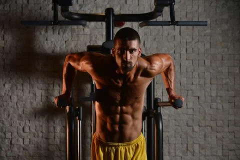 Parallel Bars Exercise For Triceps And Chest Stock-Fotos