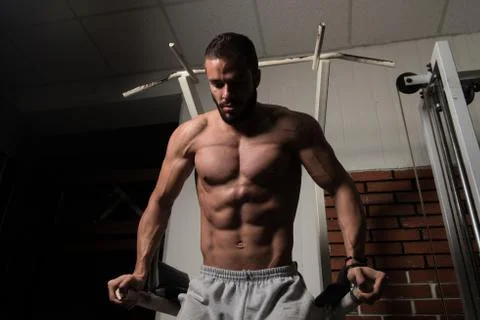 Parallel Bars Exercise For Triceps And Chest Stock-Fotos