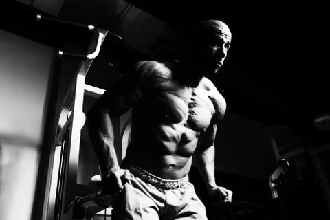 Parallel Bars Exercise For Triceps And Chest Stock Photos