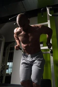 Parallel Bars Exercise For Triceps And Chest Stock Photos