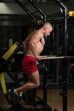 Parallel Bars Exercise For Triceps And Chest Stock Photos
