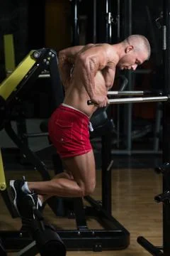 Parallel Bars Exercise For Triceps And Chest Stock Photos