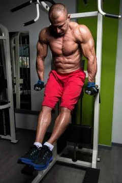 Parallel Bars Exercise For Triceps And Chest Stock-Fotos